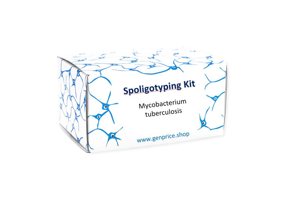 Spoligotyping kit with controls and primers